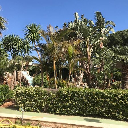 Appartement Le Palme Tropicali à San Vito Lo Capo Extérieur photo